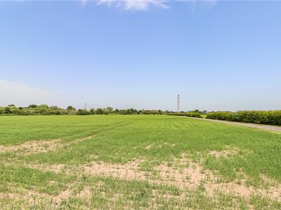 Picture 40